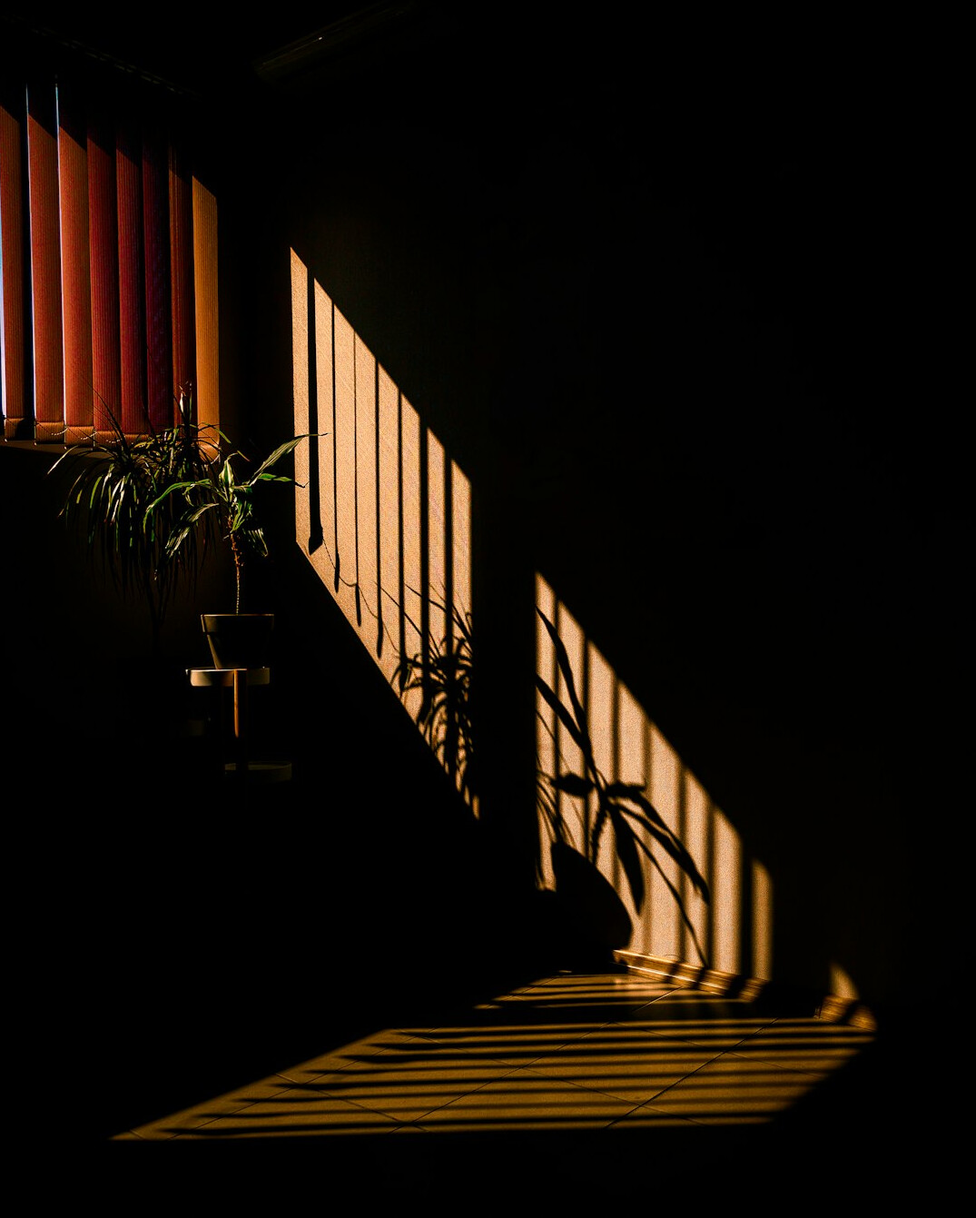 dramatic film scene with shadows